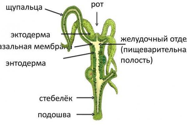 Как купить через кракен